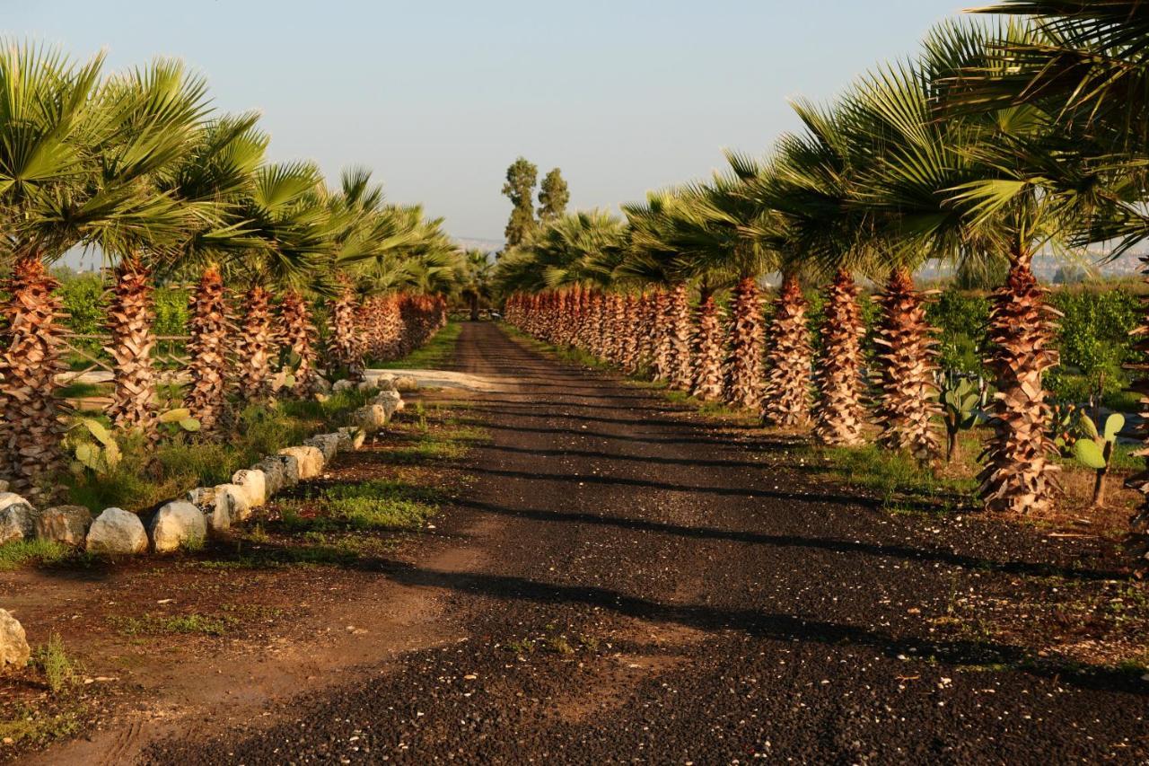 Agriturismo Papyrus Сиракуза Екстериор снимка